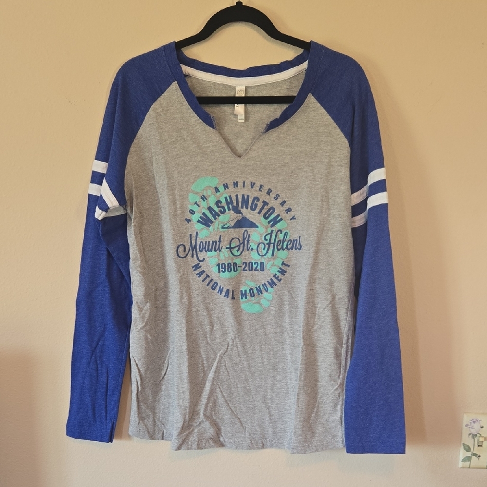 Gray and Blue Long Sleeve Graphic Tee